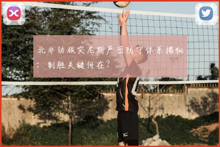 北非劲旅突尼斯严密防守体系揭秘:制胜关键何在?